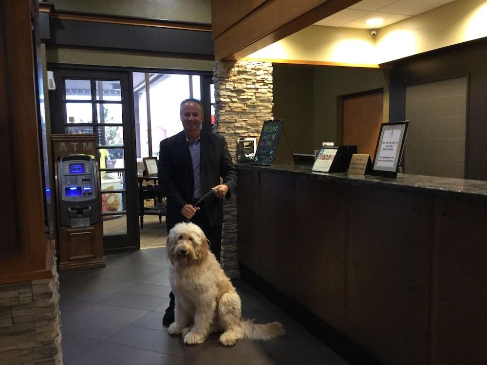 Embassy Suites By Hilton Oklahoma City Will Rogers Airport Eksteriør bilde